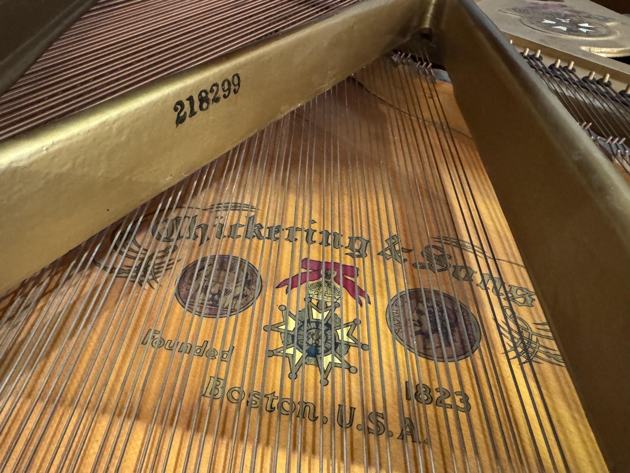 Chickering — American Walnut piano detail