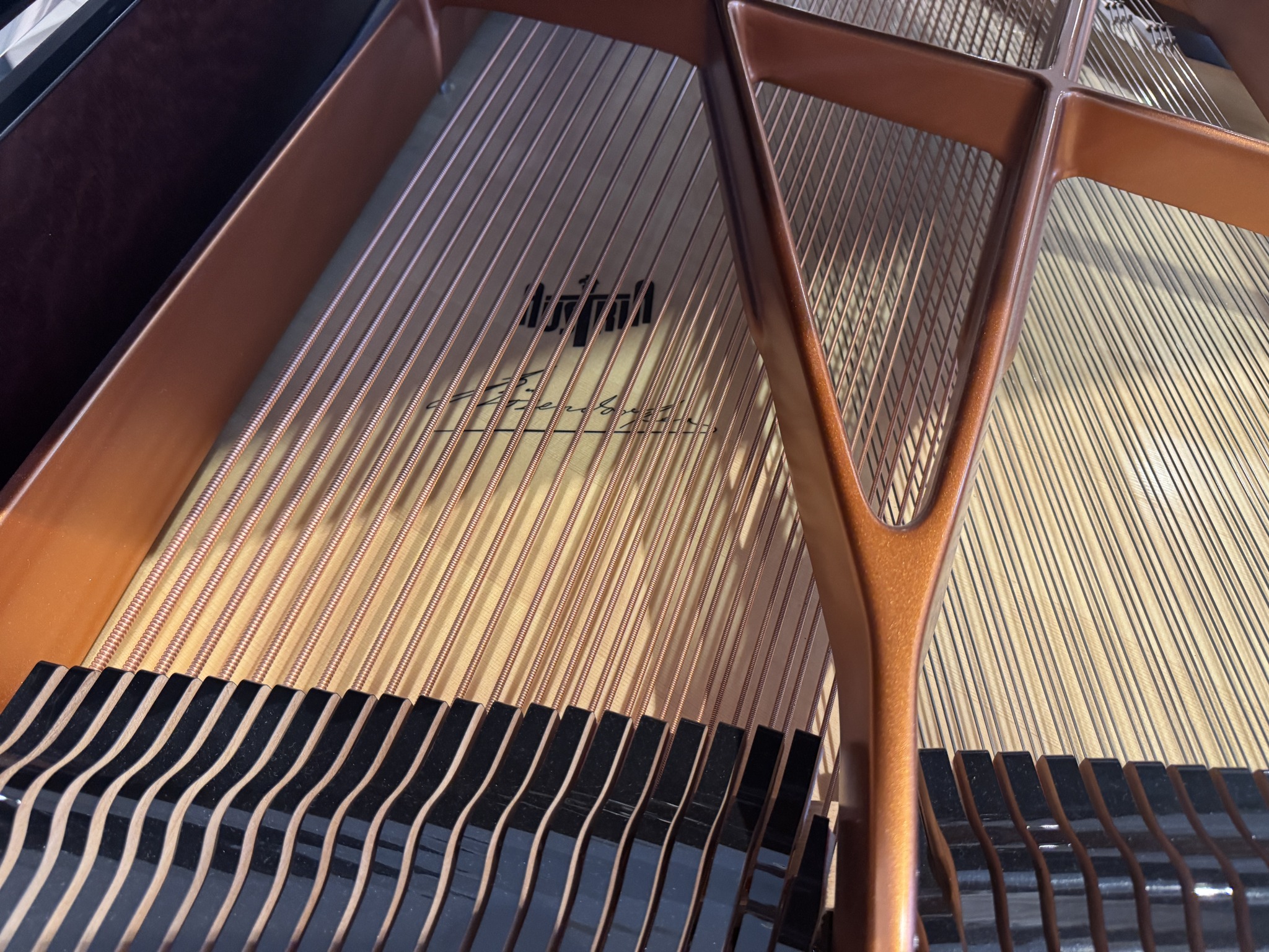 Bösendorfer Grand piano