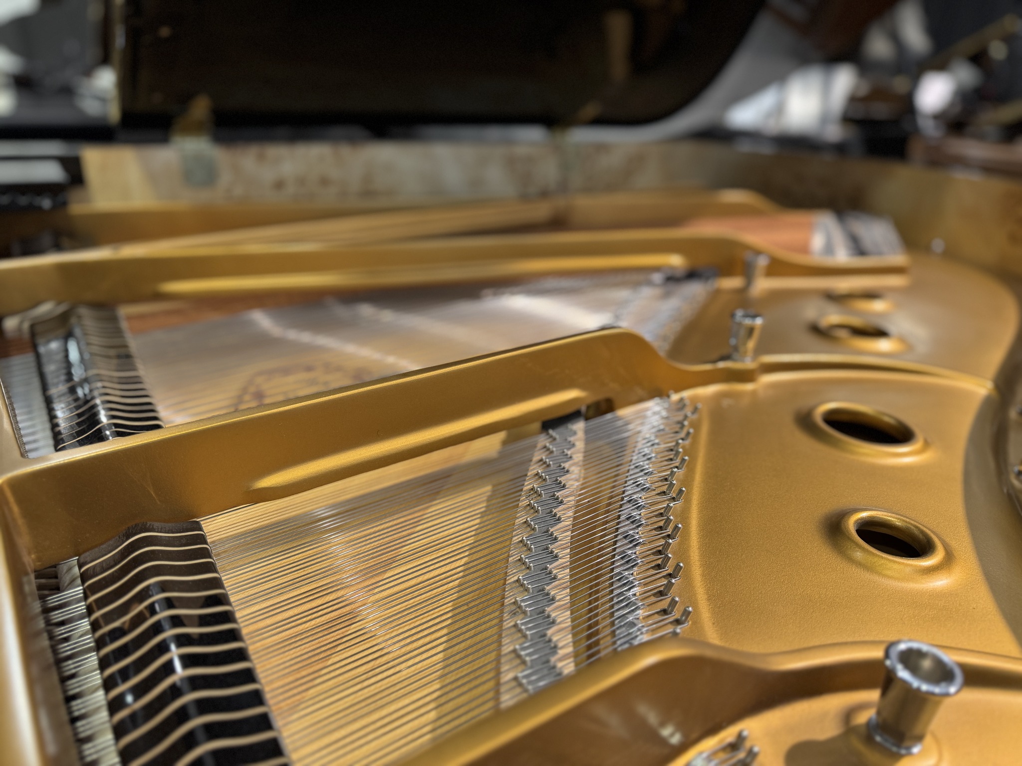 Wilhelm Steinberg piano detail